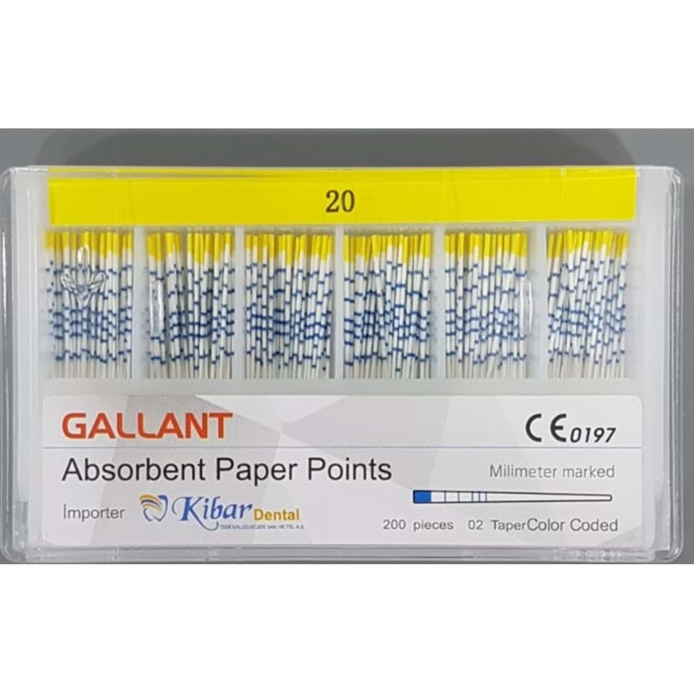 ABSORBENT PAPER POINT 20