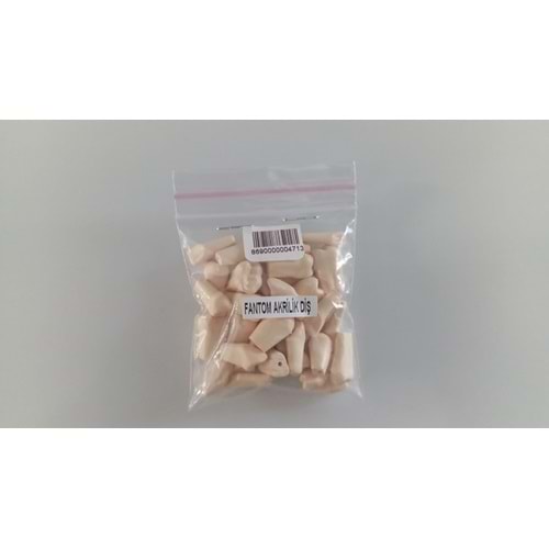 FANTOM YEDEK DİŞ 32 li DELİKLİ AKRİLİK DİŞ
